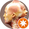 Nicolaus G. profile picture
